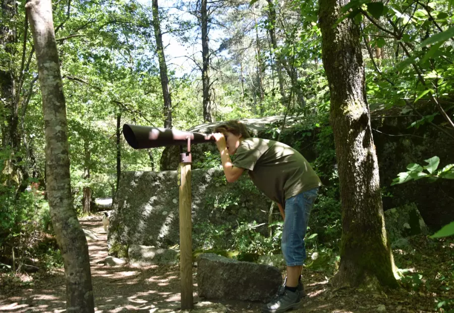 Viseur sur le sentier des merveilles