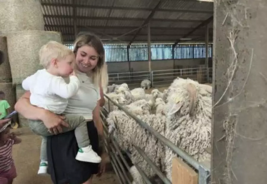 Visite de la ferme le Mohair de Gourjade